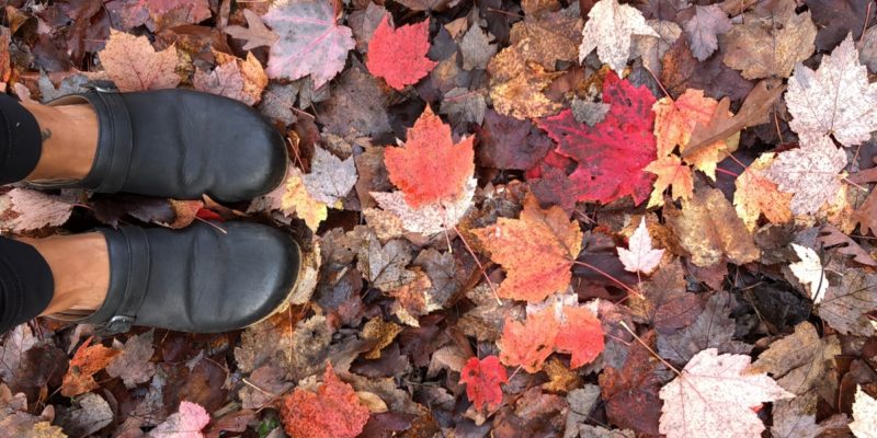 Fall Leaves Horizontal | tomandvanessascountry.com