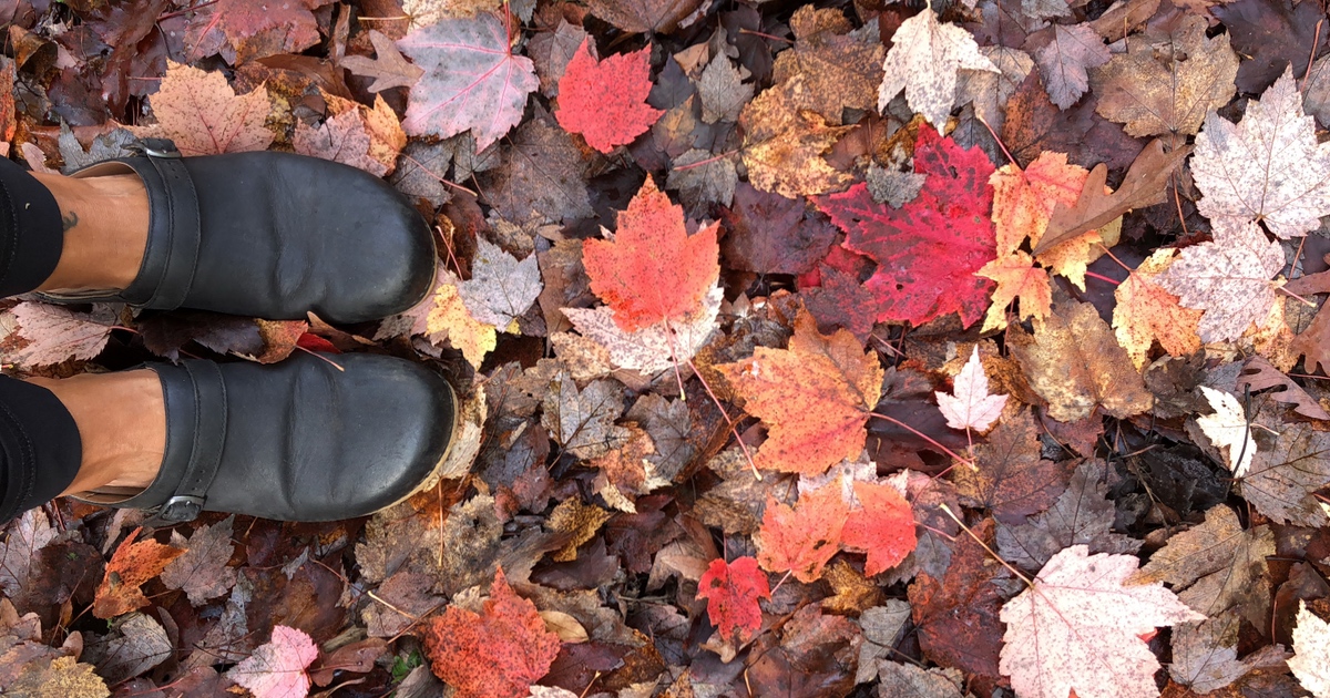 Fall Leaves Horizontal | tomandvanessascountry.com